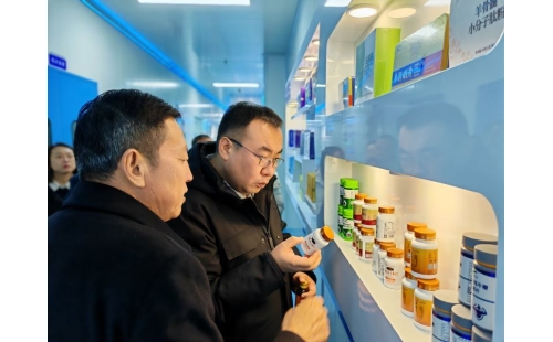 金鳳區常委、組織部長杜鈞，副區長、公安局長王占東一行蒞臨企業參觀調研